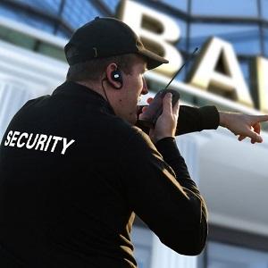 T.R.I.B.E. Security Service LLC