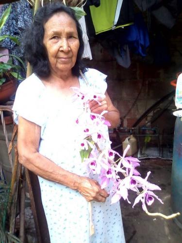 Orquidea de la abuela