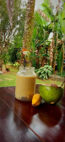 aguacate, banana y sagu. todo organico.