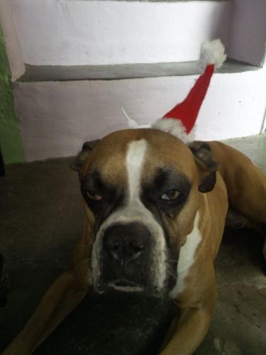 I'm new to this platform some likes could help me. Any positive feedback about the platform would help. Thank you very much #iamnewhere