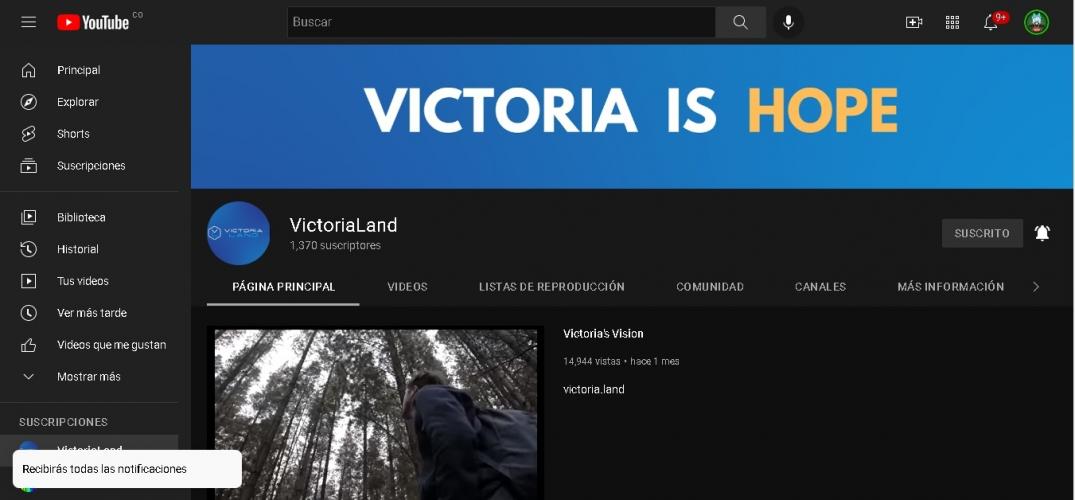 Desde el punto de vista estético, la torre Eiffel rompió con la idea de que los edificios bellos debían ser de piedra. Ahora la estructura ya no sería solo funcional sino estética. Esto fue logrado al desnudar totalmente la estructura y convertirla en el 