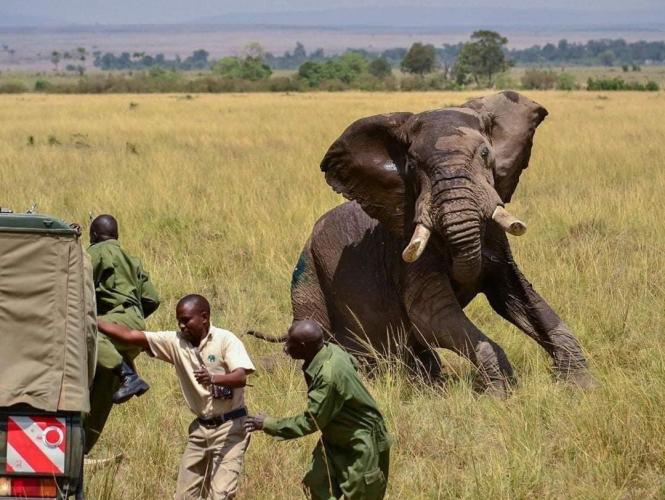 In a world of worriers, be a warrior.