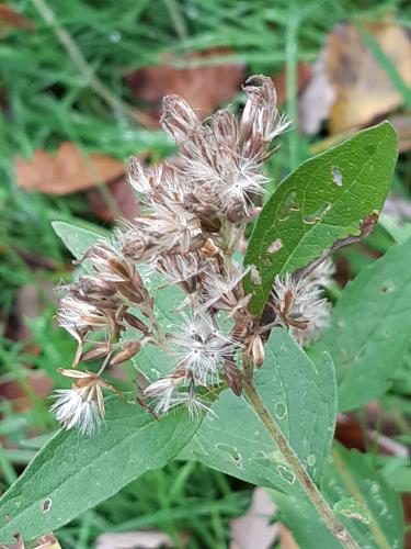 Herfst Tilburg, Goirle, Hilvarenbeek