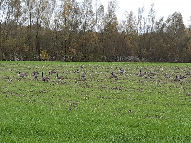 Herfst Tilburg, Goirle, Hilvarenbeek