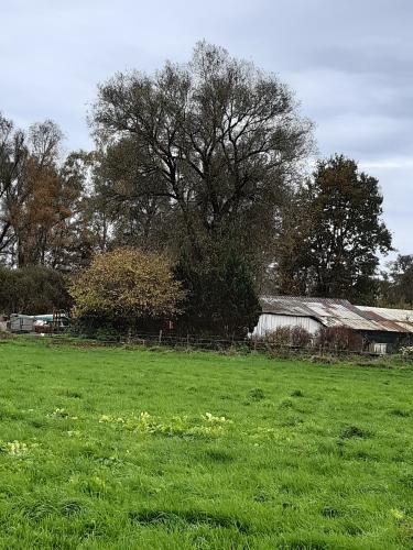 Herfst Tilburg, Goirle, Hilvarenbeek