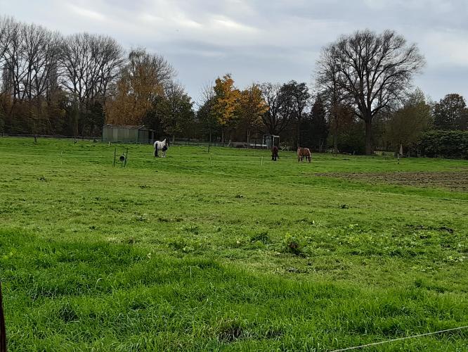 Herfst Tilburg, Goirle, Hilvarenbeek
