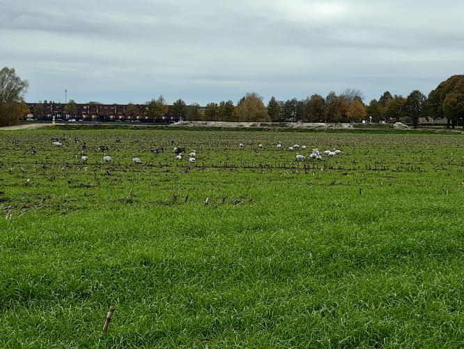 Herfst Tilburg, Goirle, Hilvarenbeek