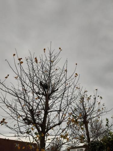 Herfst Tilburg, Goirle, Hilvarenbeek