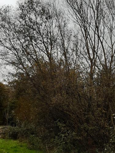 Herfst Tilburg, Goirle, Hilvarenbeek