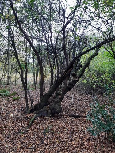 Herfst Tilburg, Goirle, Hilvarenbeek