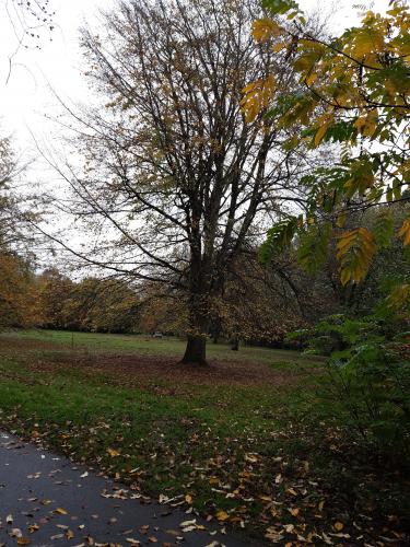 Herfst Tilburg, Goirle, Hilvarenbeek