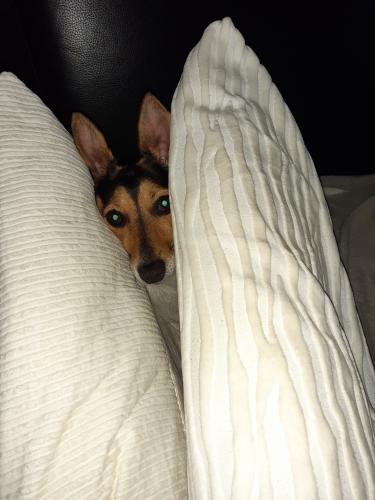 Ik heb het niet koud deze winter 