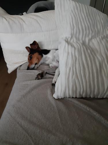 Ik heb het niet koud deze winter 