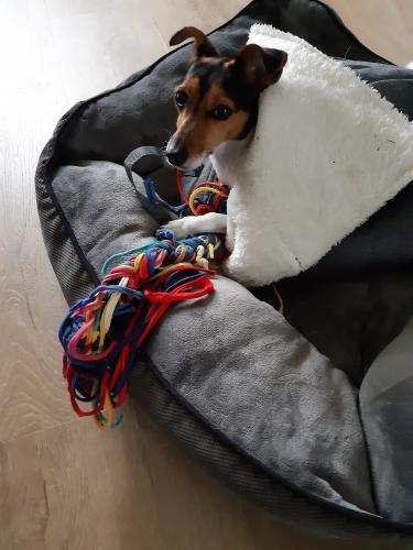 Ik heb het niet koud deze winter 