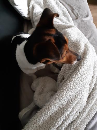 Ik heb het niet koud deze winter 