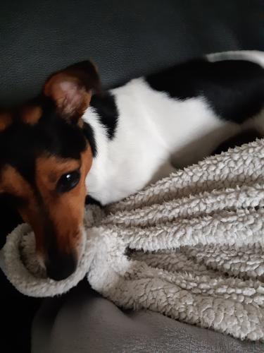 Ik heb het niet koud deze winter 