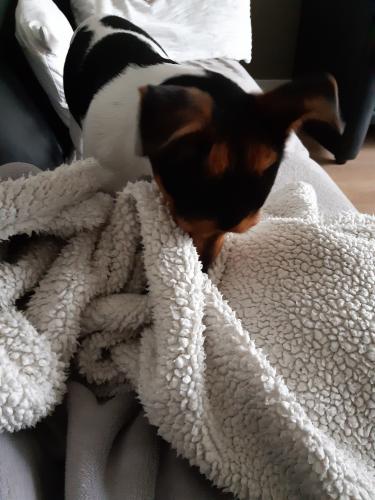 Ik heb het niet koud deze winter 