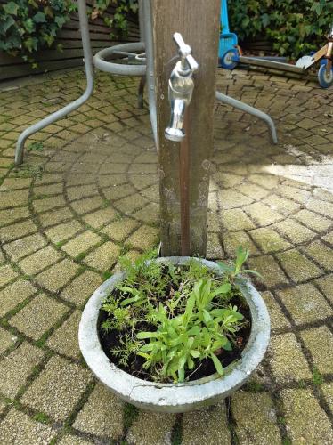 Hopelijk komt er toch wat water uit