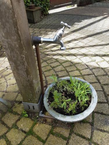 Hopelijk komt er toch wat water uit