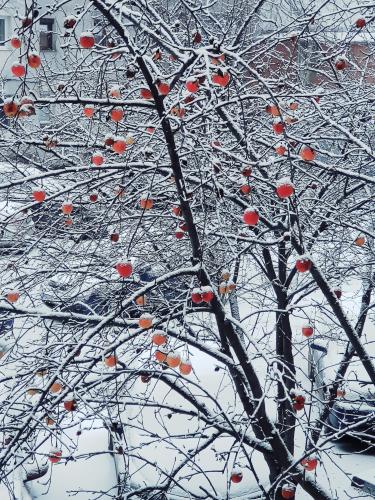 I would like to say hello again