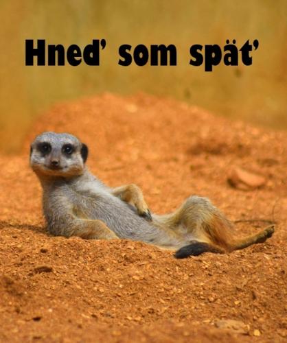 Hneď som spať