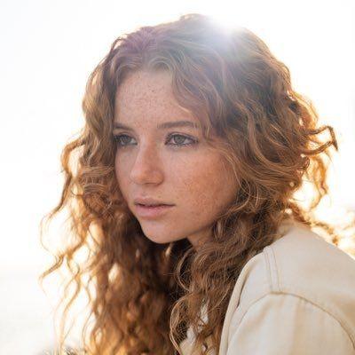 A picture frame family 