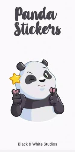 Cute panda 