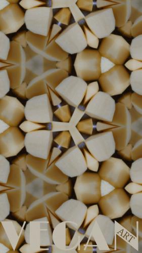 VEGAN_ART collection