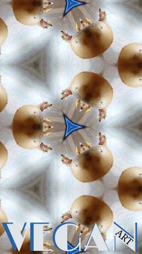 VEGAN_ART collection