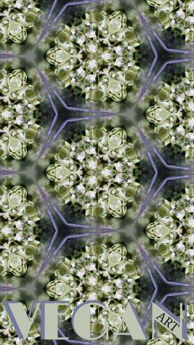 VEGAN_ART collection