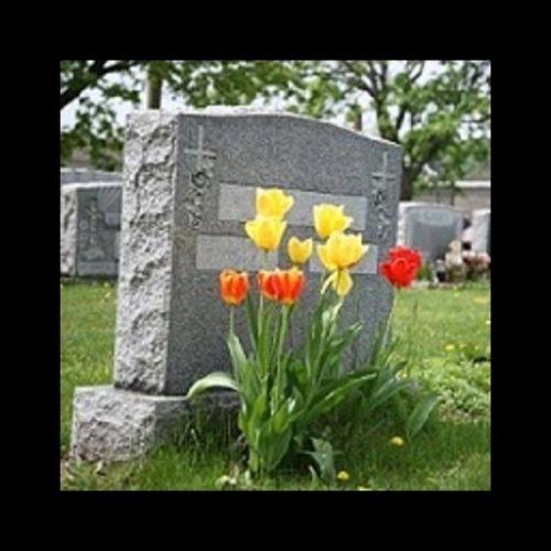 Dawise-Perry Funeral Services/Mandan Crematory - Yoors