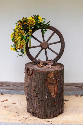 Chrysanten festival!