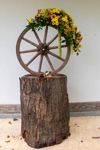 Chrysanten festival!