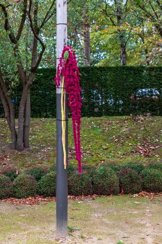 Chrysanten festival!