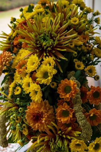 Chrysanten festival!