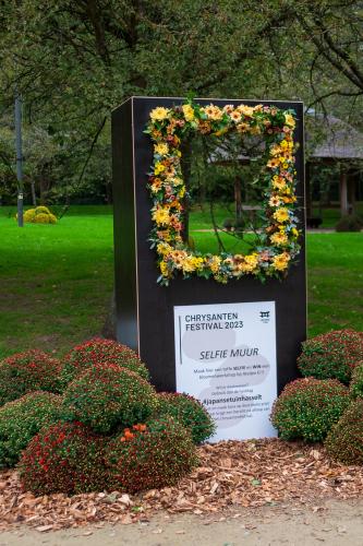 Chrysanten festival!