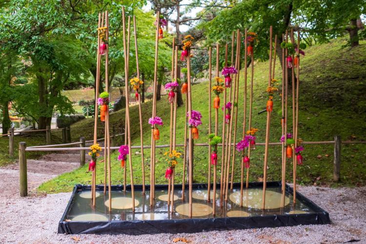 Chrysanten festival!