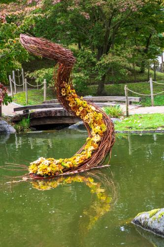 Chrysanten festival!