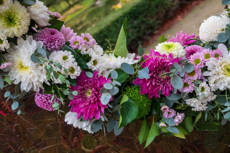 Chrysanten festival!