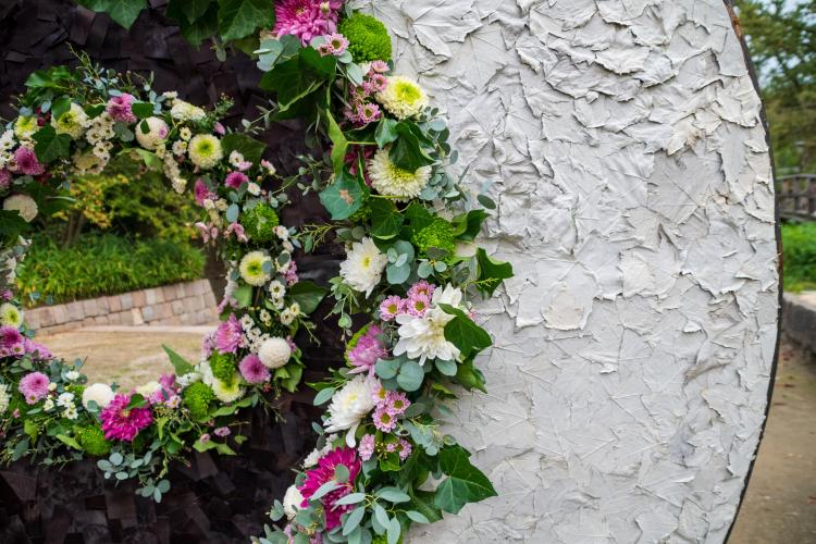 Chrysanten festival!