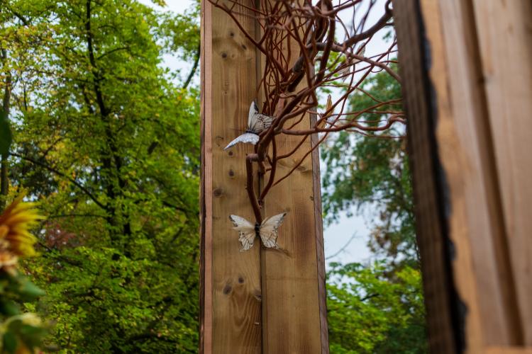 Chrysanten festival!