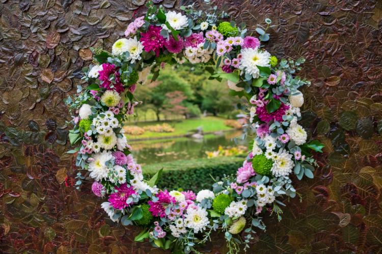 Chrysanten festival!