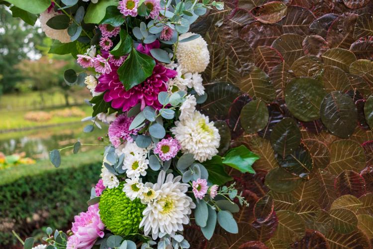 Chrysanten festival!