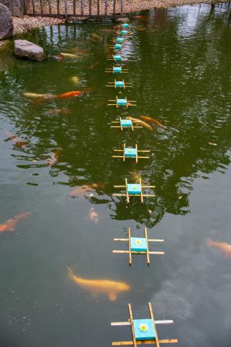 Chrysanten festival!