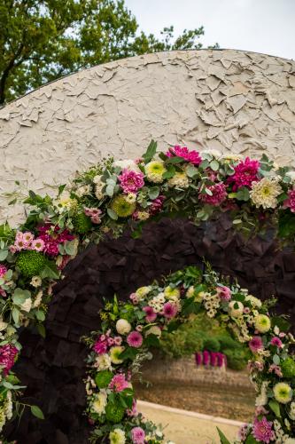 Chrysanten festival!