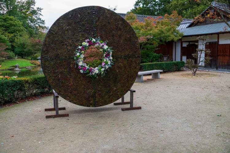 Chrysanten festival!