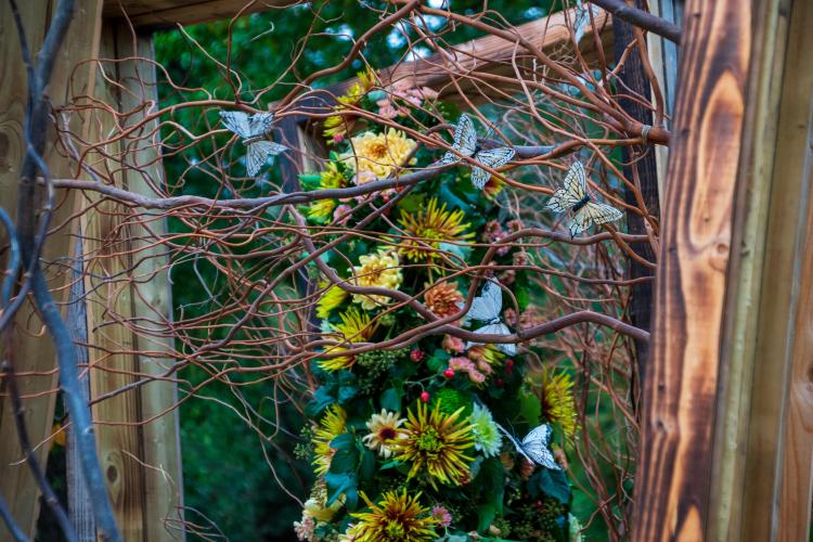 Chrysanten festival!