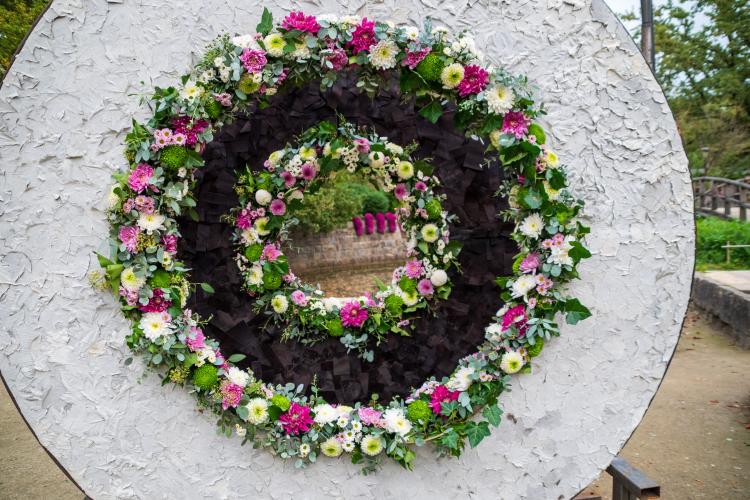 Chrysanten festival!