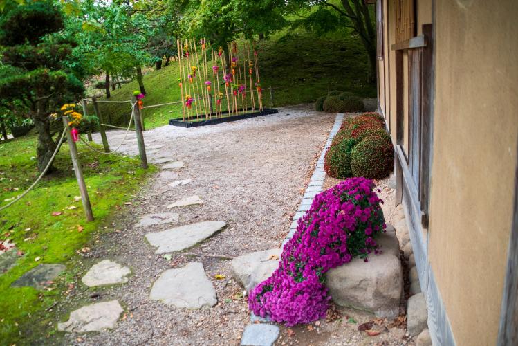 Chrysanten festival!