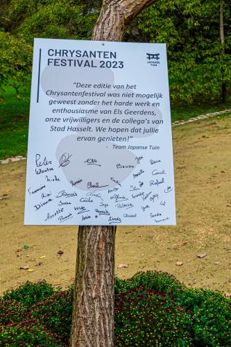 Chrysanten festival!